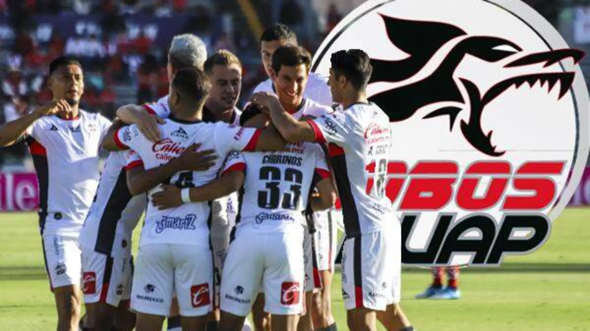 Lobos BUAP equipo